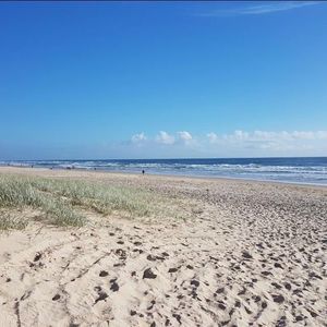 Meet your Posher, Darci